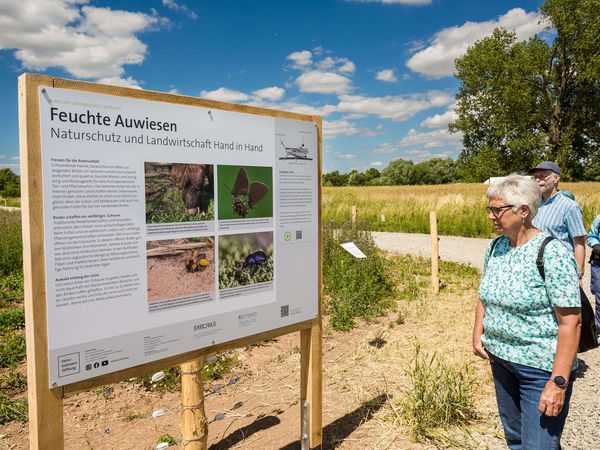 Eine Frau steht vor einer der Informationstafeln und liest die Texte. Die Tafel ist in einem Holzrahmen angebracht. Im Hintergrund setht ein Baum.