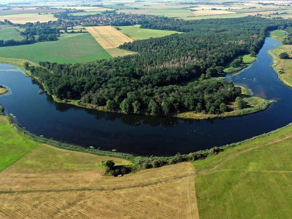 Flusslandschaft entlang der Mittelelbe mit Bäumen und Feldern an beiden Ufern.