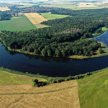 Flusslandschaft entlang der Mittelelbe mit Bäumen und Feldern an beiden Ufern.