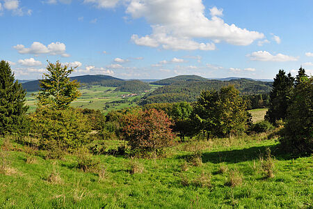 Artenreiche Blühwiese in der Landschaft der Rhön