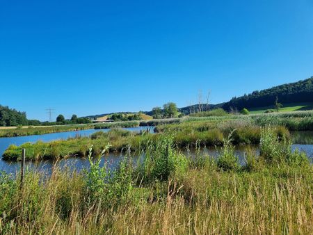 Nesselwanger Ried Weiher