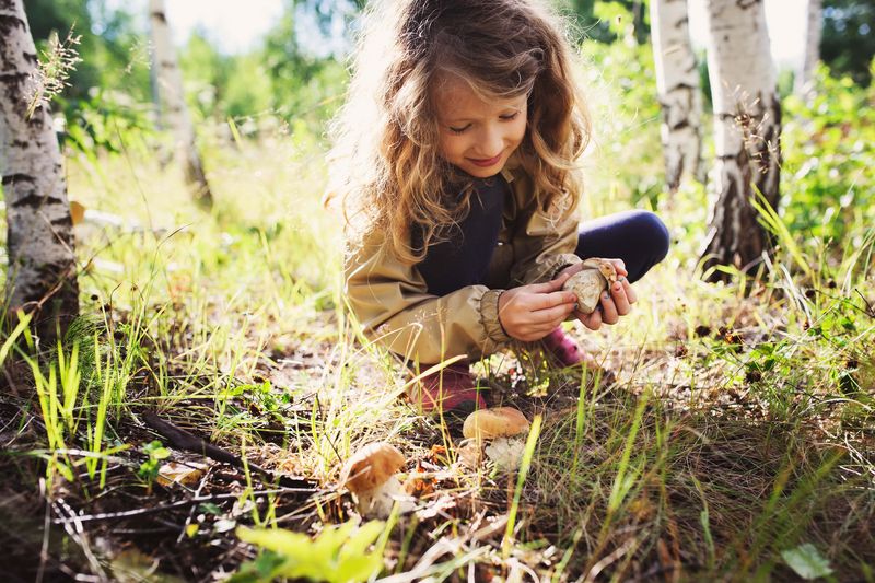 Mädchen hockt auf dem Waldboden und pflückt einen Pilz