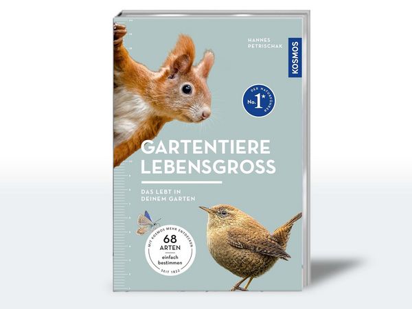 Buchcover des neuen Kosmos Naturführers "Gartentiere lebensgroß" von Dr. Hannes Petrischak.