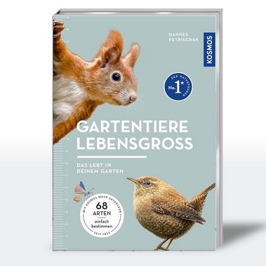 Buchcover des neuen Kosmos Naturführers "Gartentiere lebensgroß" von Dr. Hannes Petrischak.