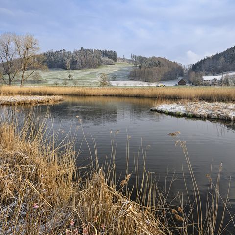 Weiher und Hügel mit Wiese und Wand mit Raureif überzogen