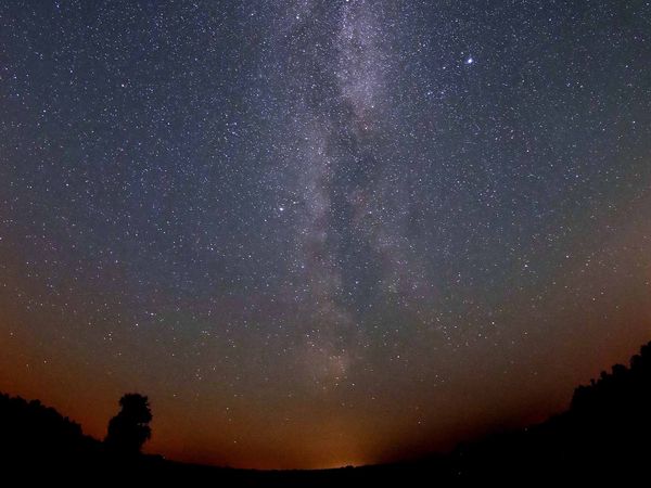 Sternenhimmel über Sielmanns-Naturlandschaft Kyritz-Ruppiner Heide, einer der dunkelsten Orte Deutschlands. 