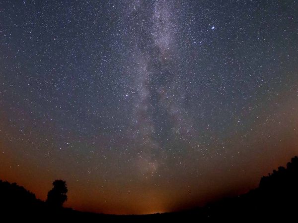 Sternenhimmel über Sielmanns-Naturlandschaft Kyritz-Ruppiner Heide, einer der dunkelsten Orte Deutschlands. 
