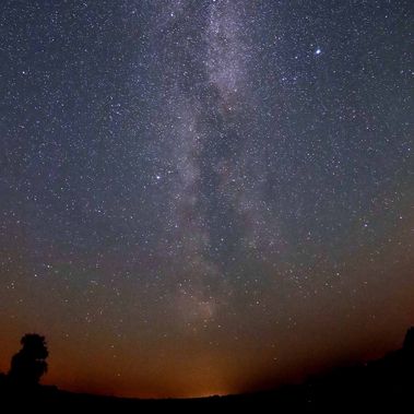 Sternenhimmel über Sielmanns-Naturlandschaft Kyritz-Ruppiner Heide, einer der dunkelsten Orte Deutschlands. 