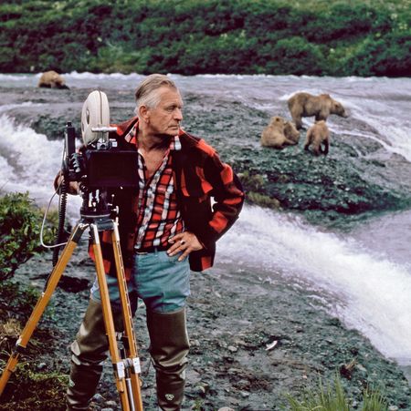 Heinz Sielmann steht mit Kamera an einem Flussufer, im Hintergrund sieht man mehrere Braunbären beim Fischfang