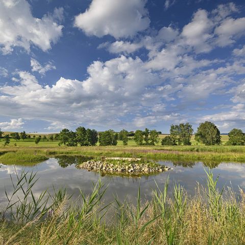 Weiher mit Gräsern umrandet im Vordergrund, im Hintergrund blauer Himmel mit weißen Wolken