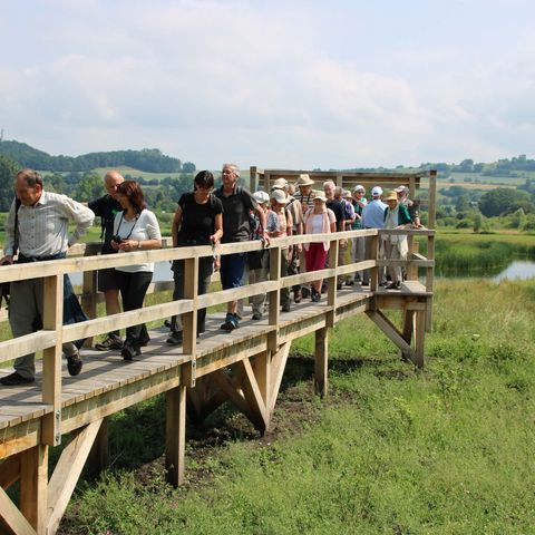 Viele Menschen gehen einen Holzsteg mit Geländer entlang. Sie kommen von einer kleinen Aussichtsplattform am Ende des Stegs. Von dort kann man auf einen Weiher blicken.