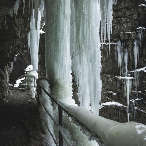 Riesig lange Eiszapfen hängen von der Felsdecke herab