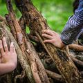 Kinderhände bauen ein Haus aus Ästen