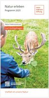 Din lang Flyer mit Damwild auf dem Titel, das von einem Jungen gefüttert wird