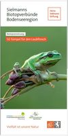 Ein Laubfrosch sitzt auf einem Zweig mit Knospen