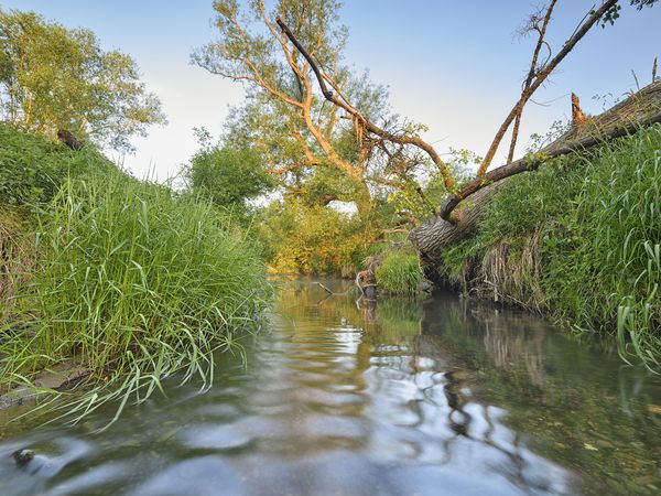 Der Fluss Nette mit Uferböschung an den Seiten