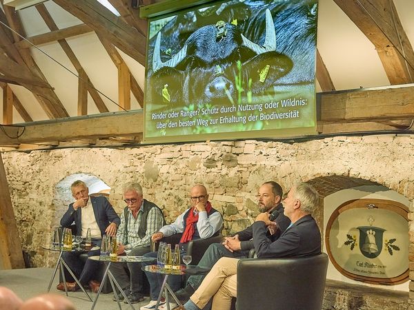 Fünf Herren sitzen in Sesseln auf einem Podium und diskutieren