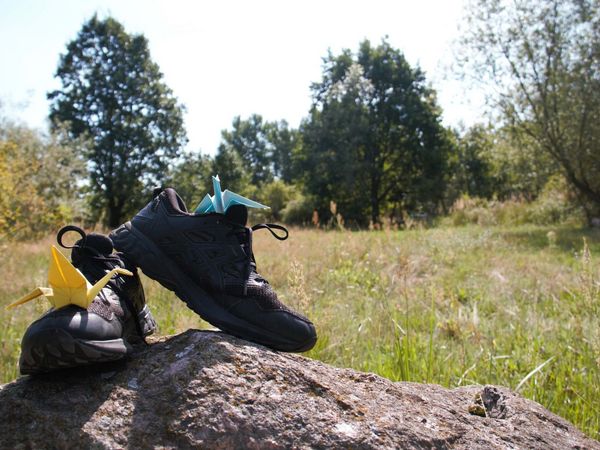 Ein paar Schuhe auf einem Stein vor einer Wiesenlandschaft