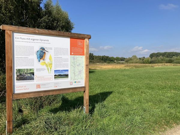 Eine Infotafel mit Text und Illustrationen steht auf einer Grünfläche