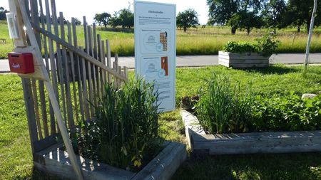 In einem Beet steht ein Schild mit weitere Informationen