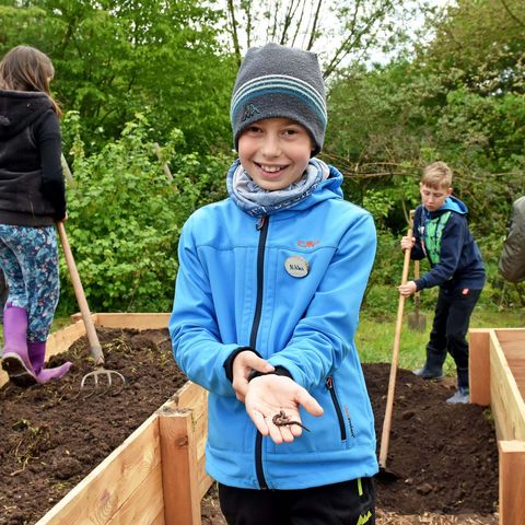 Gruppe Kinder bei der Gartenarbeit im Schulgarten