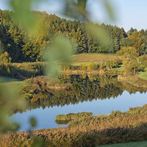 Weiher in herbstliche Landschaft eingebettet