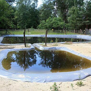 Neuer Löschteich in der Döberitzer Heide.