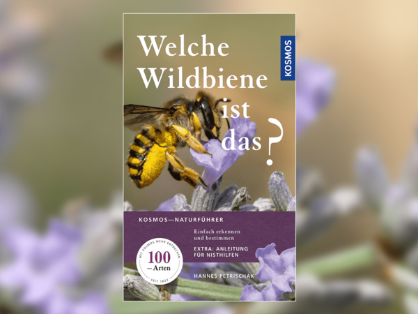 Entdecken Sie die Vielfalt der Wildbienen! Jetzt im Handel erhältlich!