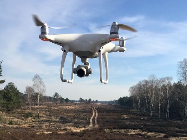 Eine Drohne fliegt im Einsatz für das Forschungsprojekt NaTec-KRH über Sielmanns Naturlandschaft Kyritz-Ruppiner Heide.