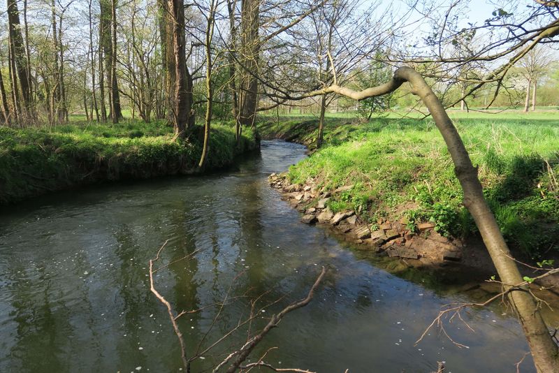 Flussbett der Nette 