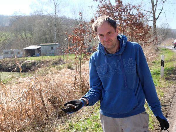 Andreas Ehbrecht mit einem „Doppeldecker“ – ein paarungsbereites Männchen auf dem Rücken eines Weibchens, das sich während der Wanderung huckepack zum Gewässer tragen lässt. Da es in Erdkrötenpopulationen deutlich weniger Weibchen als Männchen gibt, geschieht dieses nicht aus Bequemlichkeit, sondern sichert die Partnerfindung.
