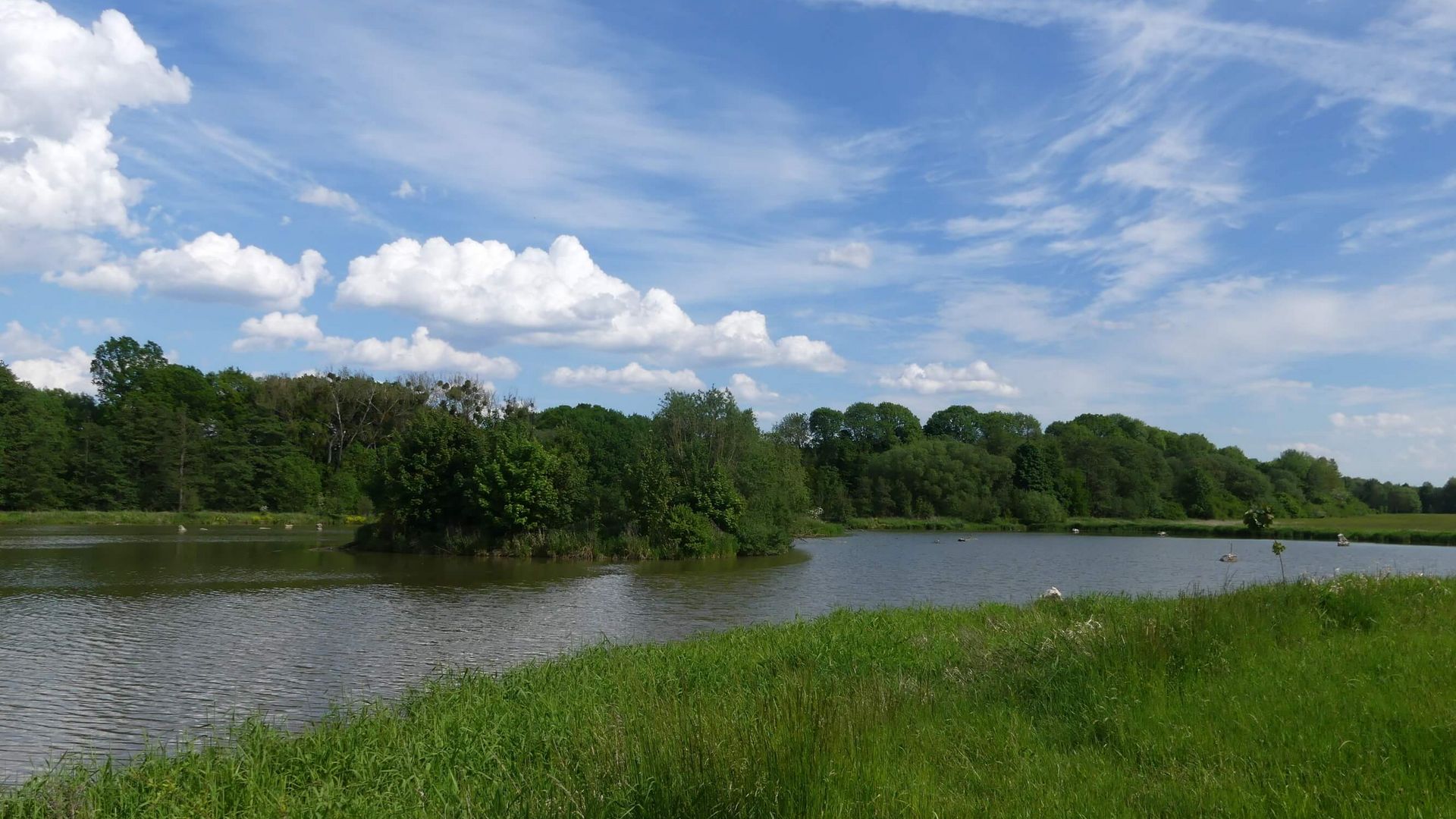 Lauf des Fließgewässers Nette