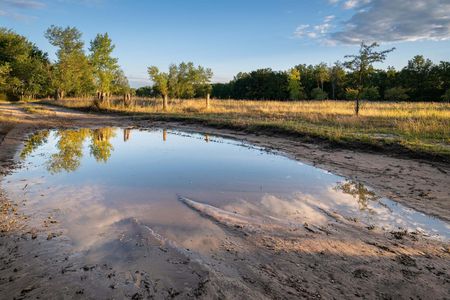 Pfützen in der Döberitzer Heide sich spiegelnd