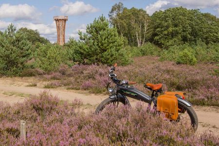 Auf einem Sandweg zwischen lila blühenden Heidesträuchern steht ein E-Bike mit sehr breiten Reifen und Fahrradtaschen aus Leder. Im Hintergrund ist der Heideturm aus Holz auf dem Sielmann-Hügel zu sehen.