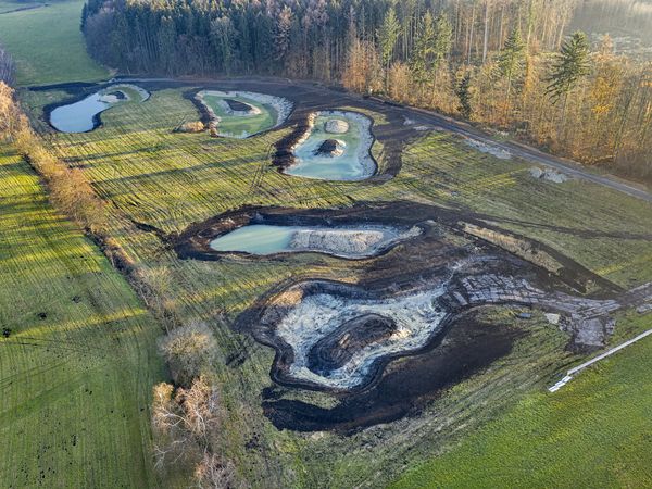 Ende November 2020 sind die fünf neuen Weiher schon gut zu erkennen.