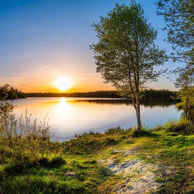 Blick auf Seenlandschaft