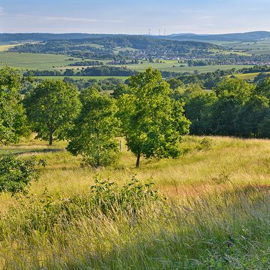 Landschaftsaufnahme des Grünen Bands in Thüringen.