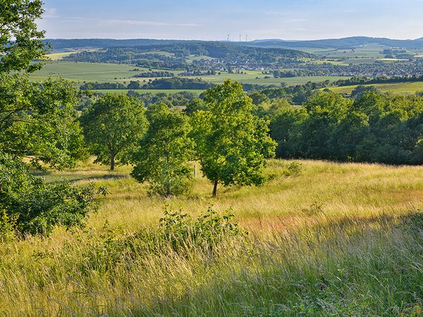 Landschaftsaufnahme des Grünen Bands in Thüringen.