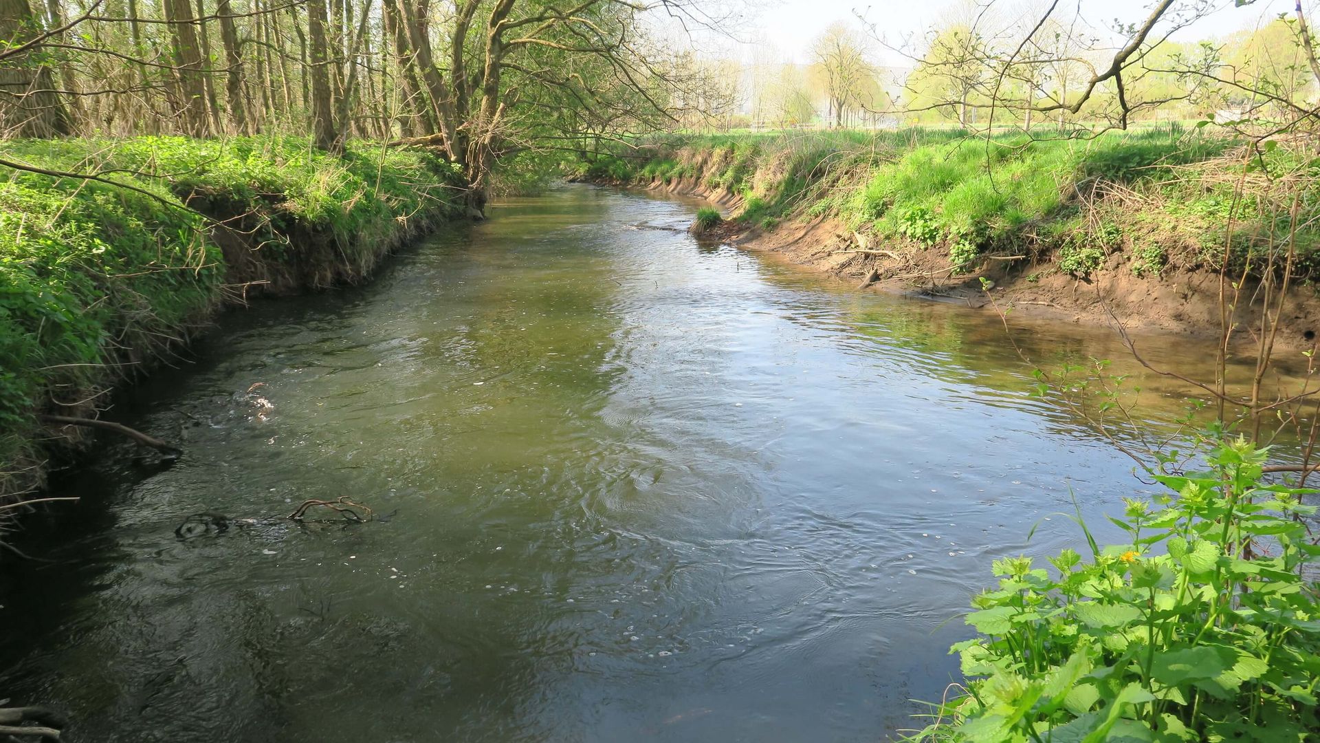 Gewässerlauf im Nettetal