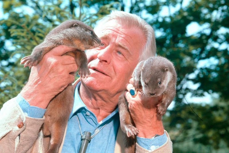 Heinz Sielmann mit grauen Haaren und im fortgeschrittenen Alter hält in jeder Hand ein Fischotter-Jungtier etwa auf Kopfhöhe und blickt eins davon an, dieses schaut zurück.