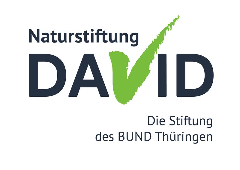 Logo der Naturstiftung David