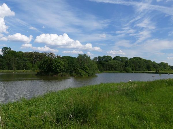 Das Kleingewässer "Eichholzbeek" im Nettetal (Landkreis Goslar, Niedersachsen) / Foto: Lena Steußloff/Heinz Sielmann Stiftung 