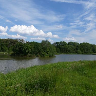 Das Kleingewässer "Eichholzbeek" im Nettetal (Landkreis Goslar, Niedersachsen) / Foto: Lena Steußloff/Heinz Sielmann Stiftung 