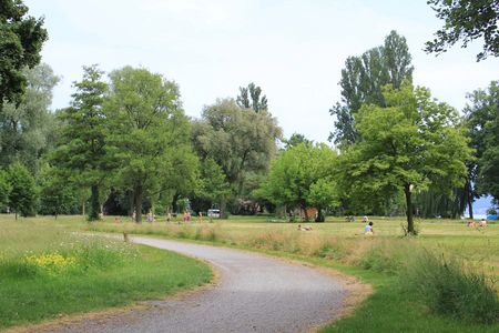 Naturnah gepflegter Park mit Wildblumen am Wegrand