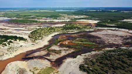 Eine sandige Landschaft wird von jungem Wald abgelöst und kleine Tümpel und Fließgewässer durchziehen den ehemaligen Tagebau.