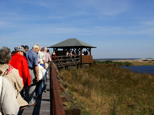 Kranichbeobachtung im Natur-Erlebniszentrum Wanninchen