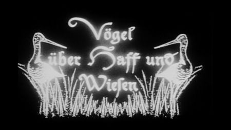 Filmtitel "Vögel über Haff und Wiesen" in Schwarzweiß