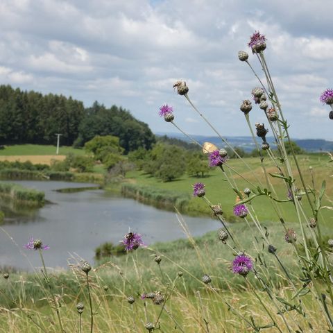 Inge Sielmann-Weiher 