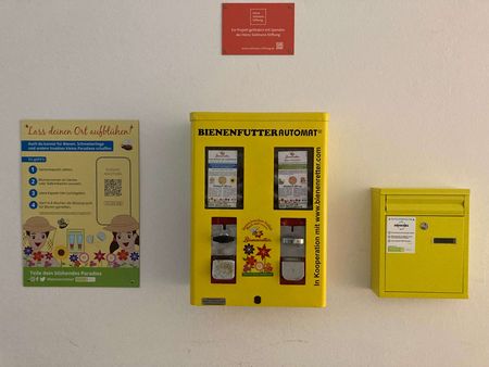 Bienenautomat mit bienenfreundlichem Saatgut in der Gertrud Bäumer Schule