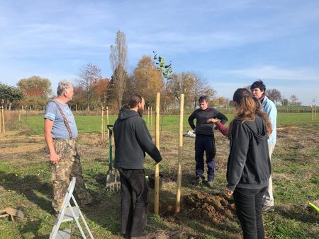 Mehrere Menschen pflanzen einen Baum ein